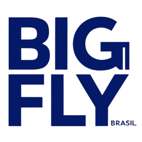 BIG FLY viagens
